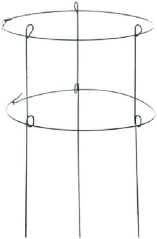 18" W x 36" L Double Green Metal Peony Ring Plant Supports (24)