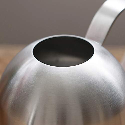 Small Watering Can for Indoor Plants, 15oz/450ml Stainless Steel Long Spout Watering Can for Succulents, Herbs (Silver)