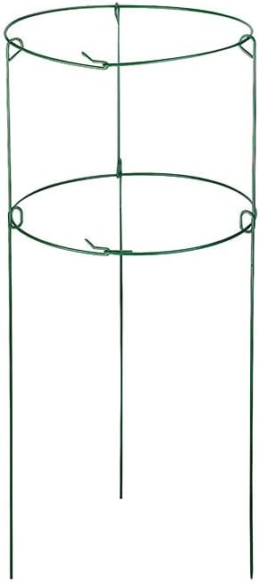 18" W x 36" L Double Green Metal Peony Ring Plant Supports (48)