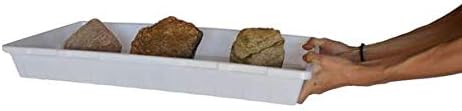 Bootstrap Farmer 1020 Trays White Extra Strength - 30 Pack No Hole - Seed Starter Flats for Fodder, Microgreen, Seedling Propagation Growing