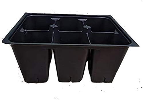 Seed Starter Trays 600 DEEP Extra Large Cells (100 Trays of 6 Cells)