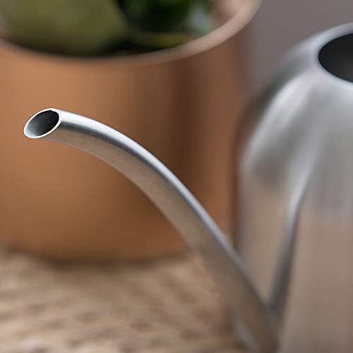 Small Watering Can for Indoor Plants, 15oz/450ml Stainless Steel Long Spout Watering Can for Succulents, Herbs (Silver)