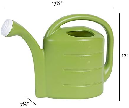 Root & Vessel 30413 Deluxe 2-Gallon Watering Can, Green