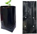 gardtree 100 Pcs Thicken Seedling Nursery Bags, 4.7" x 7.8" Deep Plastic Grow Bags with Drainage Holes, Heavy Duty Plant Starter Pots for Vegetables, Flowers, Succulents and Cuttings