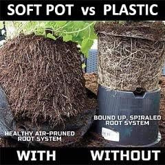 Soft POTS (10 Gallon) Best Fabric Aeration Garden POTS from Maui Mike's. Thicker Fabric and Sewn Handles for Easy Moving. Grow Bigger and Faster Tomatoes,Veggies and Herbs in Soft POTS.