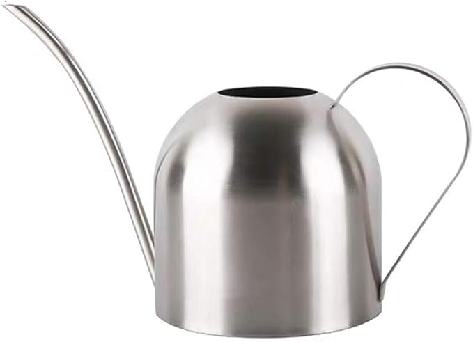 Small Watering Can for Indoor Plants, 15oz/450ml Stainless Steel Long Spout Watering Can for Succulents, Herbs (Silver)