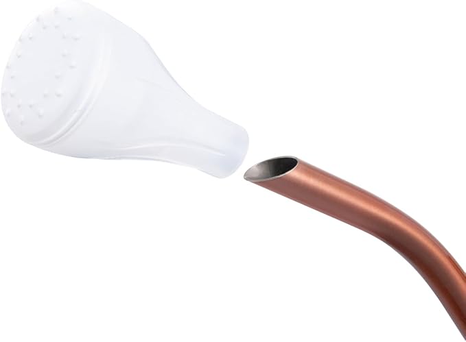 1/2 Gallon 68oz Long Spout Stainless Steel Flower for Indoor Plant Watering or Outdoor Gardening with 2 Removable Spray Spout for Flowers Plant Hummingbird Pattern Watering Can, Bronze