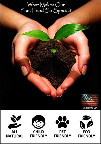 TeaDrops Organic Seedling + New Planting + Transplant Fertilizer – 16 Liquid Indoor House Plant Food Packets – Make up to 32 Gallons (Easy use in Watering Can & Containers, Ecofriendly)