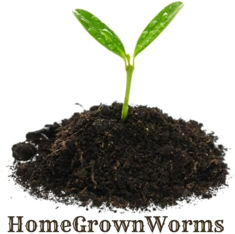 Red Wigglers Live Worms 250+ (1/4LB) Worms for Composting Bin - Live Delivery - Gardening Red Wrigglers - Eisenia Fetida - Wiggly Worm Farm Starter - Worm Castings - Pet Food