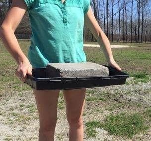 Bootstrap Farmer 200 Cell w/ 1020 Flat Seedling Starter Trays Extra Strength 10 Pack Combo - Seed Planting Insert Plug Tray, Soil & Hydroponics Plant Growing Plugs
