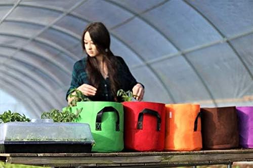 Bootstrap Farmer Grow Bags 7 Gallon, Purple 10 Pack, Colored Fabric Pot for Peppers, Potatoes, Tomatoes and Plants