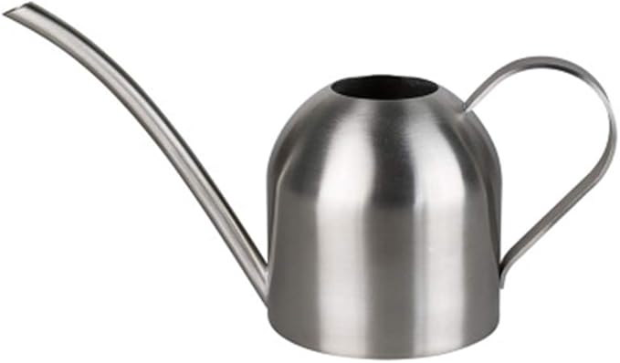 Fasmov Stainless Steel Watering Can, Small Modern Style Watering Pot, 15oz/450ml Watering Can with Long Spout to Prevent Spillage, Perfect Plant Watering Can for Outdoor and Indoor Plants (Silver)