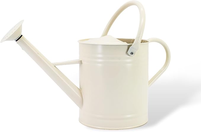 1 Gallon Watering Can, Matte Cream, Metal Watering Can with Removable Spout, Galvanized Water can, Perfect Plant Water Can for Outddor and Indoor Use