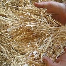 Premium 100% Natural Straw for Animal Bedding, Garden Mulch, Compost & Fertilizer, and Grass Cover (8 lbs)