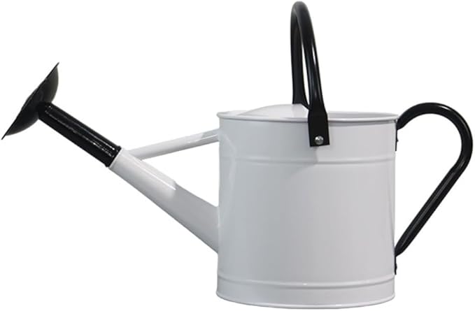 Markson Watering Can with Dual Handles and Removable Spout 1 Gallon Metal White Black