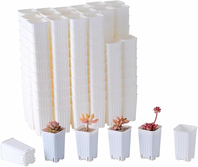 BangQiao 180 Pack 1.95 Inch Tiny White Plastic Square Nursery and Seedling Pot, Mini Deep Transplant Seed Starter Planter with Drain Hole for Germination, Herb, Succulent
