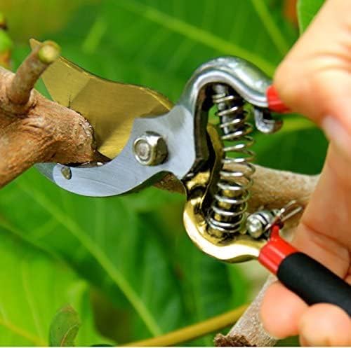 Garden Guru Indestructible Titanium Garden Clippers Professional Bypass Hand Pruner Pruning Shear with Comfort Grip Handles for Gardening Trimming and Yard Work Hardened Steel & Titanium Blade(2 Pack)
