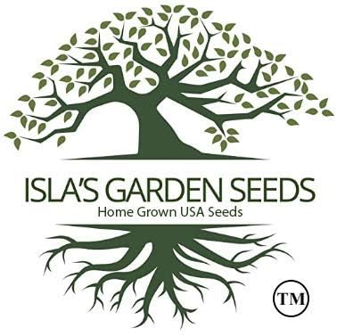 Siberian Wallflower Seeds (Cheiranthus allionii) –400+ Heirloom Non-GMO Seeds by Isla’s Garden Seeds, Bright Orange Blooms, Easy to Grow, Attracts Pollinators, Perfect for Borders & Wildflower Gardens