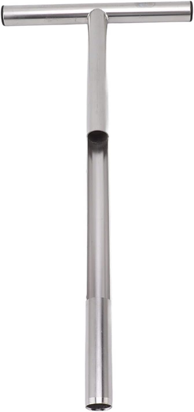 Soil Sampler Probe, Portable T Handle Soil Sampling Device Made of 304 Stainless Steel for Farm, Garden, Lawn (21in)