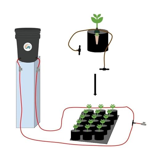 Blumat Grow Kits