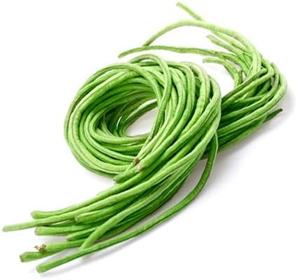 2026 Early Bird-Yardlong Pole Bean Seeds for Planting Vegetables and Fruits-Chinese Yard Long Beans豇豆.Non GMO Heirloom Seed for Home Vegetable Garden-6g(30ct+) Veggie Seeds Oriental Asparagus Bean