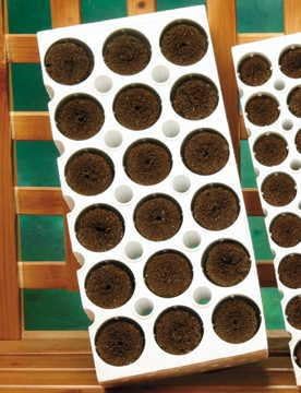 Park Seed 18-Cell Whopper Planting Block