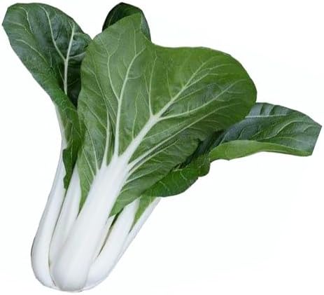 2026 EarlyBird-Sow in Fall/Spring-4000+ Bok Choy Seeds for Sprouting,Chinese Cabbage Seed for Planting,Microgreen/Sprouting Seeds for Home Vegetable Garden.黑叶白菜 (Pak Choi White Stem,10g)