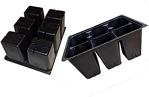 Seed Starter Trays 600 DEEP Extra Large Cells (100 Trays of 6 Cells)