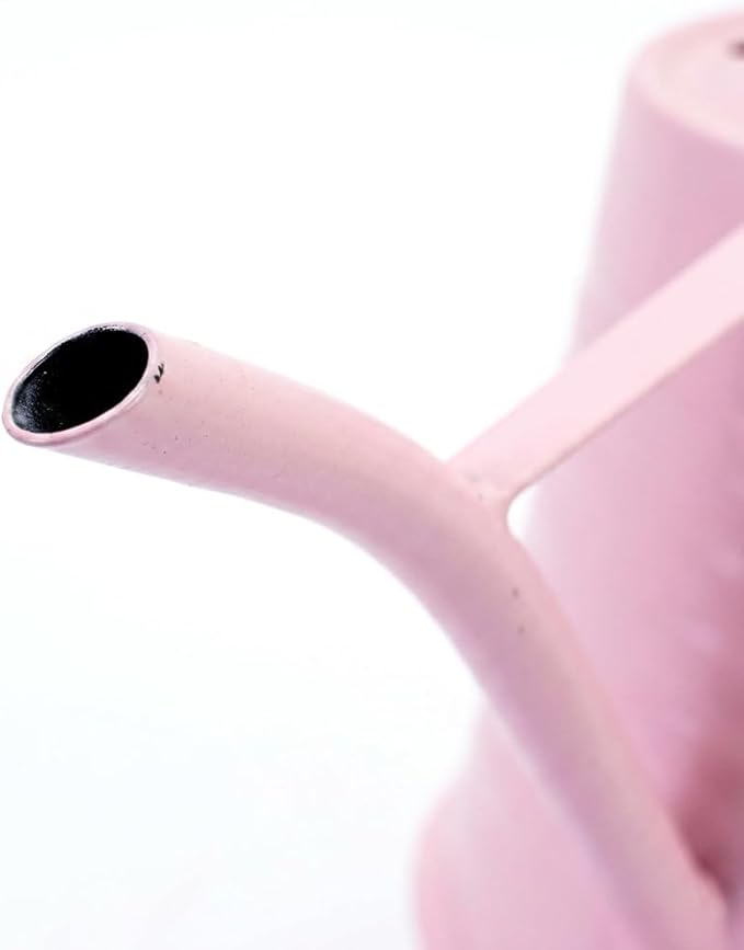 Small Watering Can, Matte Pink (Almost Mauve), 34oz., Metal Watering Can with Long Spout, Nice Indoor Water Can, Plant Water Can for Indoor Plants
