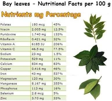 Mediterranean Bay Leaf, Bay Laurel Live Plant. Saratoga/Standard Varieties - Laurus Nobilis. Fragrant, Fresh, Edible. Pots/Ground Planting. Mild/Strong Flavor (2 Srtg + 2 Std Bay Plants in Cup)