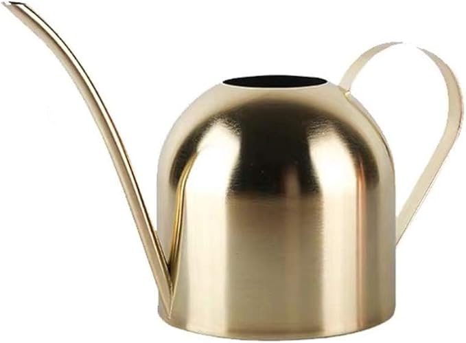Small Watering Can for Indoor Plants, 15oz/450ml Stainless Steel Long Spout Watering Can for Succulents, Herbs (Gold)