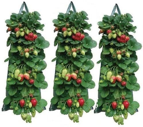 Upside Down Strawberry Planter, Hanging Strawberry Planter, Hanging Grow Bags with 8 Side Pockets & Reinforced Handles, Reusable Vertical Planters for Small Space Gardening (3 PCS)