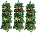 Upside Down Strawberry Planter, Hanging Strawberry Planter, Hanging Grow Bags with 8 Side Pockets & Reinforced Handles, Reusable Vertical Planters for Small Space Gardening (3 PCS)