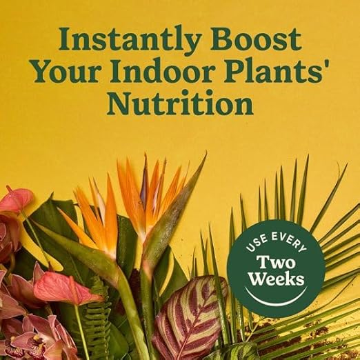 Miracles-Grows Indoor Plant Food for All Plants, Liquid Fertilizer, Instant Nutrition, Houseplants, Flowers, Vegetables, Herbs, 8 fl oz, 1 Pack