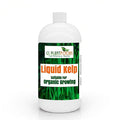 Organic Kelp Fertilizer by GS Plant Foods - Omri Certified (1 Quart) - Kelp Fertilizer for Gardens, Lawns & Soil