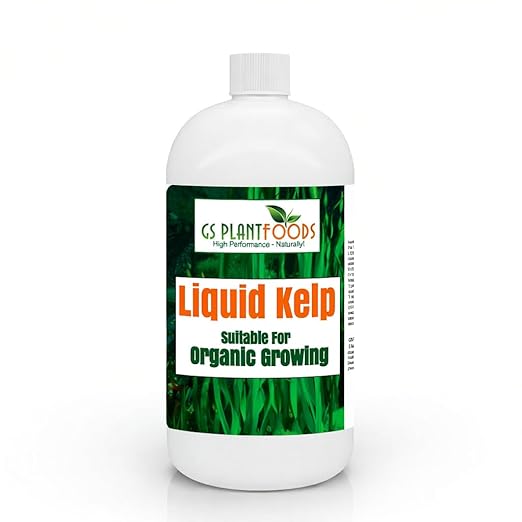 Organic Kelp Fertilizer by GS Plant Foods - Omri Certified (1 Quart) - Kelp Fertilizer for Gardens, Lawns & Soil