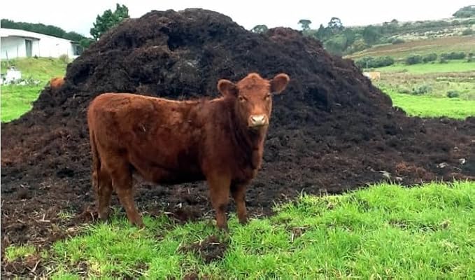Lot of 6, 20 or 60 Organic Humus and Manure Soil, Each Bag is 1 Cu. Ft. Consists of 80% Compost Base and 20% Manure Delivered to Your Door, Never Carry Heavy OR Mess Your CAR Trunk. (20)