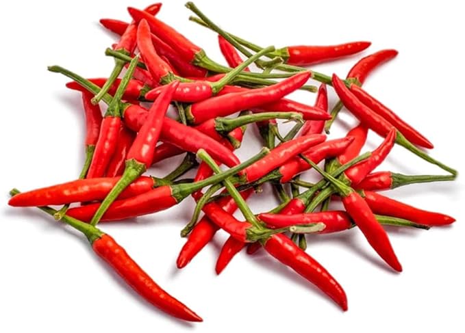 Hot Pepper Seeds for Planting,Non-GMO Heirloom Seed Vegetable Seeds,Asian Chile Pepper Seed for Home Vegetable Garden & Hydronic Pods,泰国小米椒(50ct+ Thai Bird)