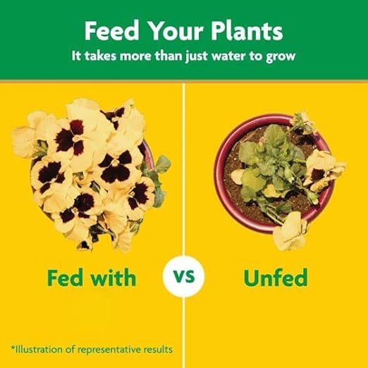 Miracles-Grows Water Soluble All Purpose Plant Food, 5 lb, Indoor and Outdoor Plants