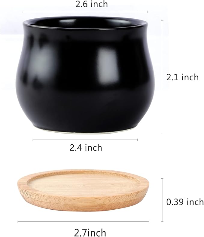 SHECIPIN 2 Pack Succulent Pots, 2.5 Inch Mini Ceramic Pots for Flower or Cactus Plants with Drainage Hole,Plants Not Included (Black)
