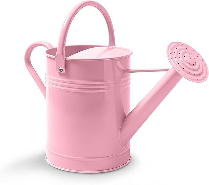 6.5L Metal Watering Can for Outdoor & Indoor Plants, Galvanized Steel Metal Water Can with Removable Spout, Movable Top Handle, Rust-Resistant Watering Pot for Garden, Lawn, Flowers