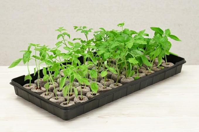 PlantBest 50 Coconut Coir Pellet Seed Starting Greenhouse Kit – Jumbo 42mm Peat-Free Pellets, Seed Starter Tray with Humidity Dome, Sustainable Indoor Growing System
