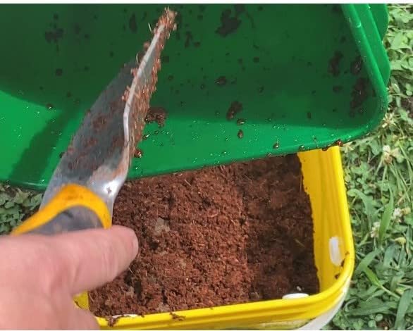 Worm Bucket Indoor Composting Starter Kit – Compact Worm Farm for Classrooms, Homeschool, and Apartments – STEM Project - Make Organic Worm Castings & Worm Tea