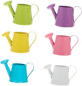 Kisangel Mini Watering can 3.34 Inch Small Metal Watering Pot for Indoor Plants Fairy Garden Decor and Kids Watering can Toy