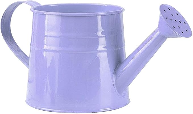 Watering Can, 1L Metal Flower Garden Watering Can, Lightweight Durable Decorative Gardening Tool for Outdoor Indoor Plants Lawn Garden (Purple)