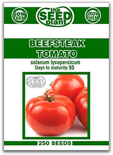 Beefsteak Tomato Seeds - 250 Seeds Non-GMO