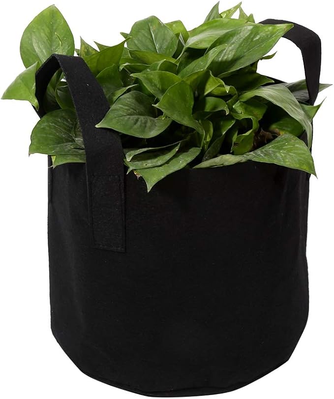 Plant Grow Bag, 1/2/3/5/7/10 Gallon Black Flower Plants Growing Bag, Vegetable Aeration Fabric Planting Pot Container with Handles for Indoor Outdoor Nursery Garden Planting (25 x 30 cm (5 Gallons))