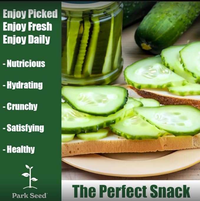 Park Seed Variety of Cucumber Seeds, Planting Cucumbers, Vegetable Seeds, Easy to Grow, Non-GMO, Perfect for Harvesting, Pick-a-Bushel Hybrid, Pack of 30