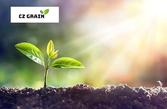 Fall Green Manure Mix Seed Kit - Cover Crop and Soil Builder, Easy to Grow, Build Biomass - Ships from Iowa, USA (5 Pounds)