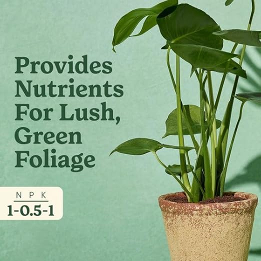 Miracles-Grows Indoor Plant Food for Tropicals, Liquid, Lush Green Foliage, 8 fl oz, 1 Pack